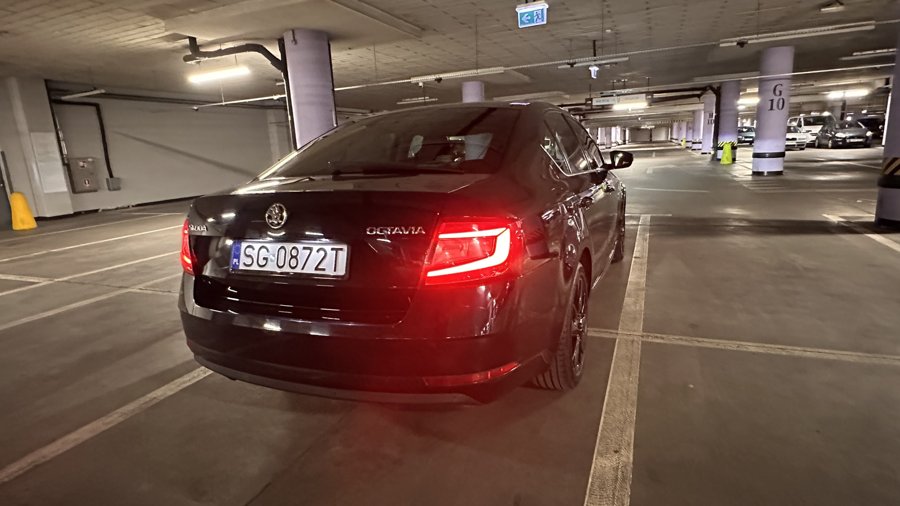Zdjęcie 46