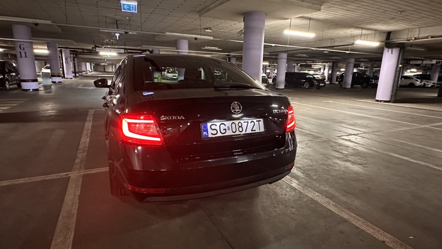 Zdjęcie 45